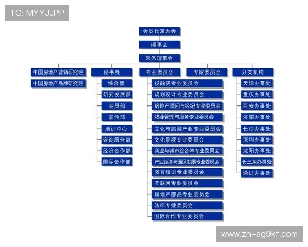 足球赛事中的国际化发展与市场推广